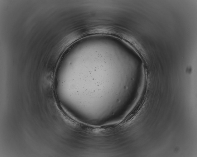 X0000091241233200708231710