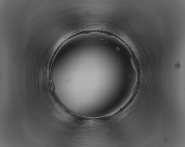 X0000091241234200708231710