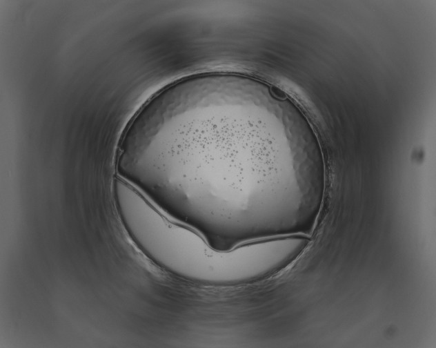 X0000091241236200708231710