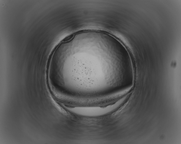 X0000091241237200708231710