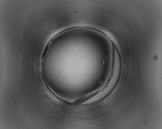 X0000091241238200708231710