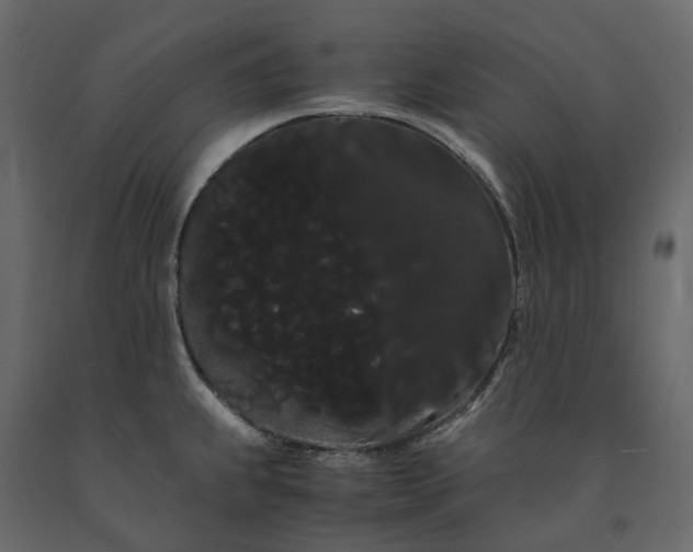 X0000091241239200708231710