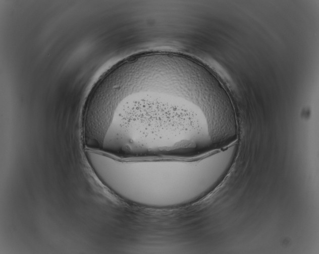 X0000091241240200708231710