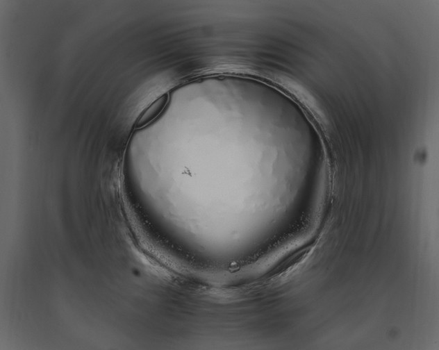 X0000091241241200708231710