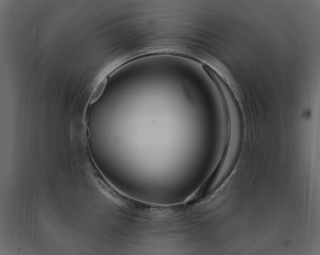 X0000091241242200708231710
