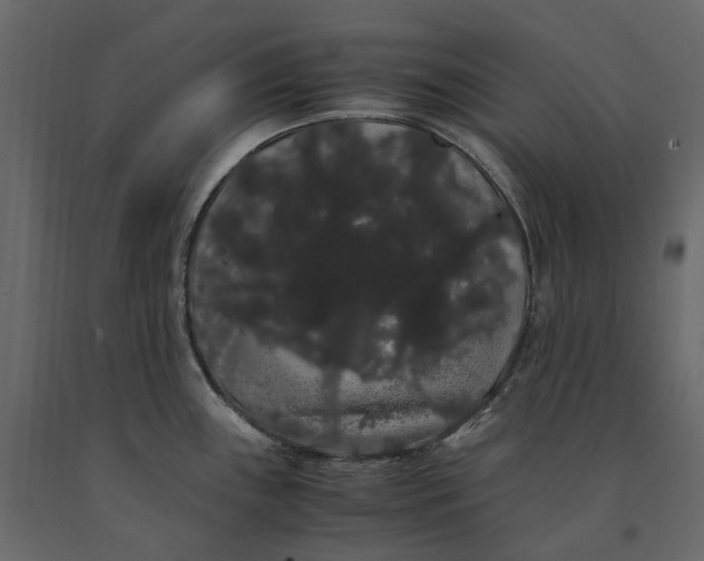 X0000091241243200708231710
