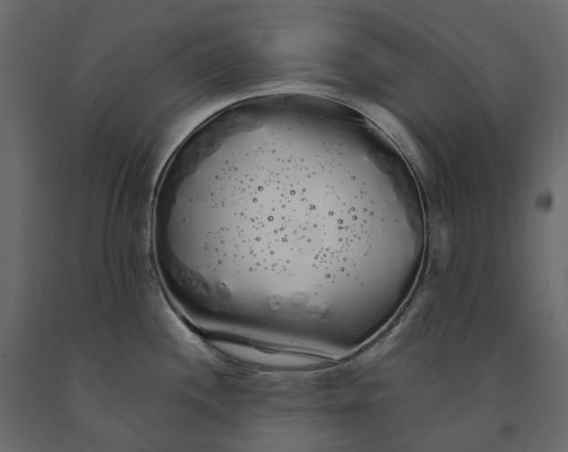 X0000091241244200708231710