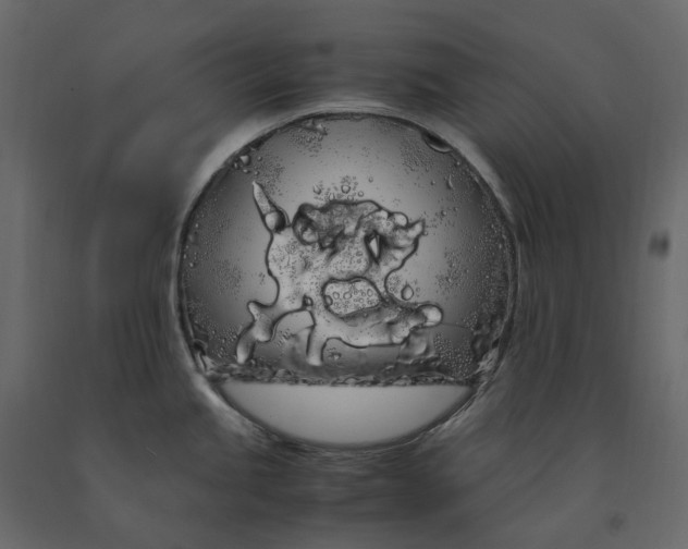 X0000091241245200708231710