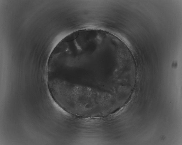 X0000091241247200708231710