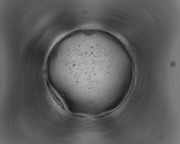 X0000091241248200708231710