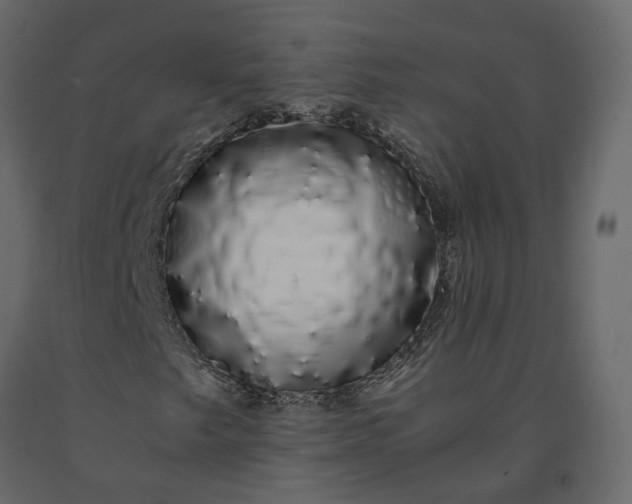 X0000091241249200708231709