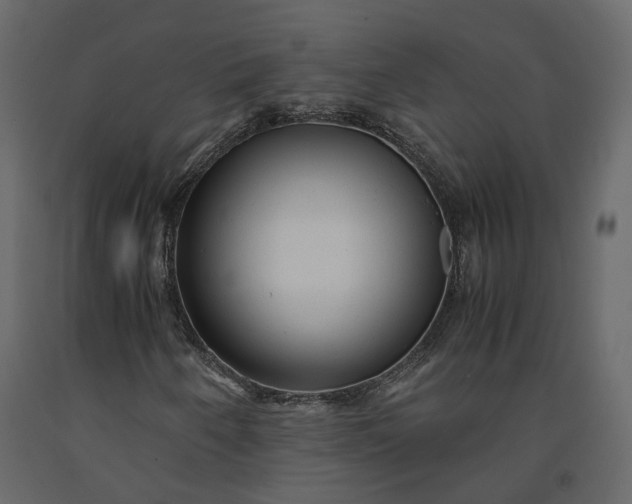 X0000091241250200708231709