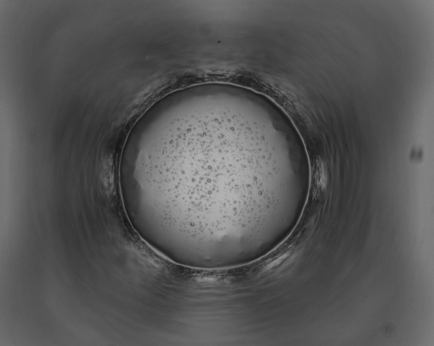 X0000091241252200708231709
