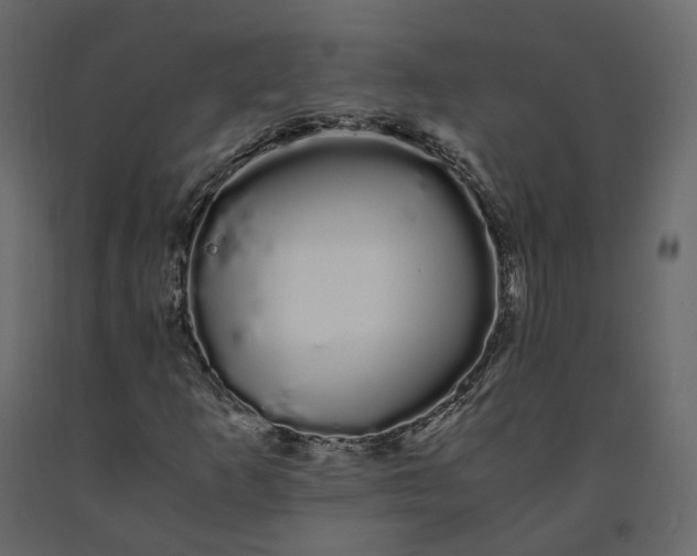 X0000091241253200708231709