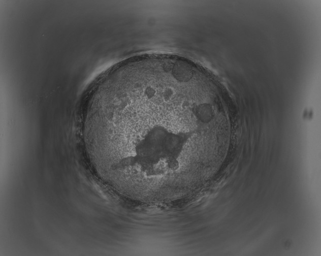 X0000091241255200708231709