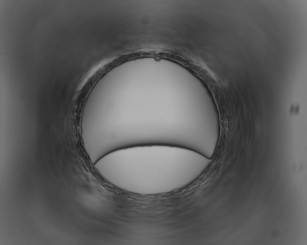 X0000091241256200708231709