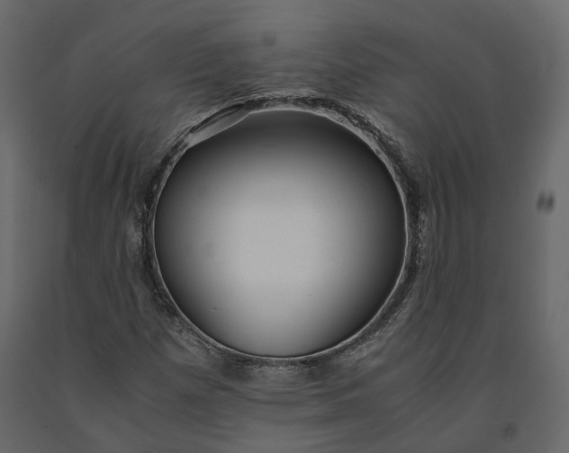 X0000091241257200708231709