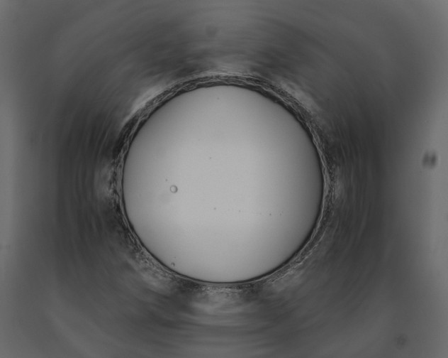 X0000091241258200708231709