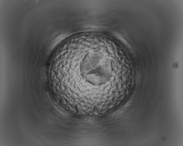 X0000091241259200708231709