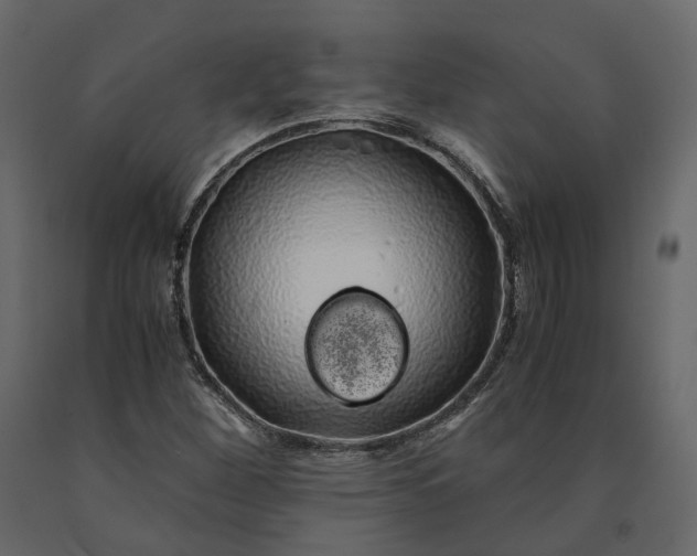 X0000091241260200708231709