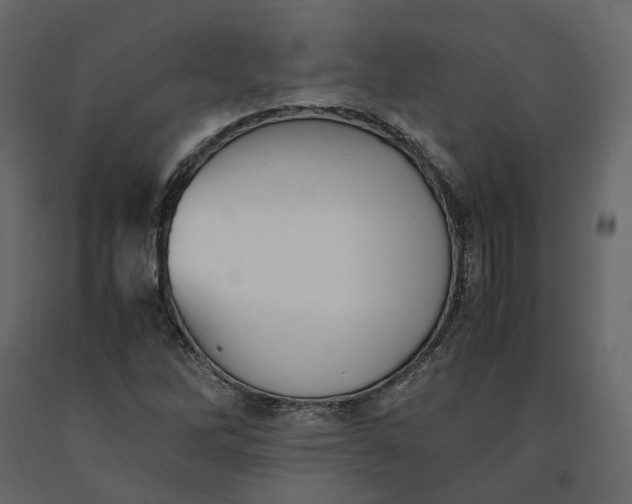 X0000091241262200708231709