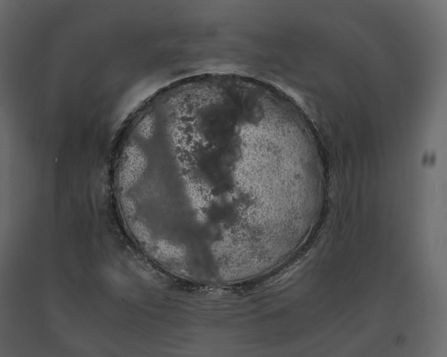 X0000091241263200708231709