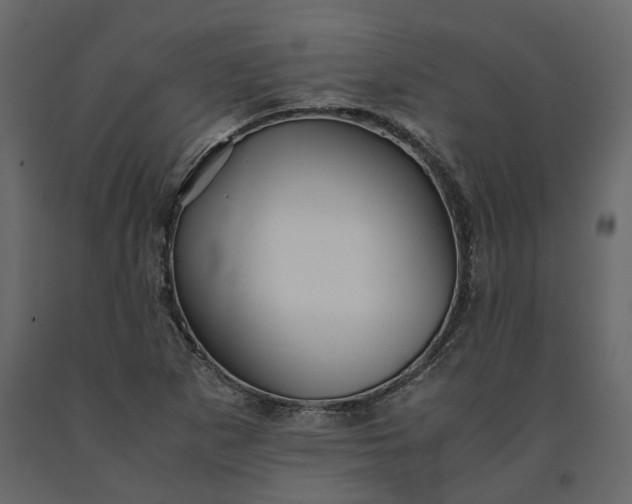 X0000091241265200708231709