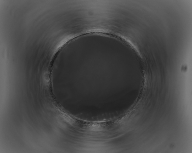 X0000091241266200708231709