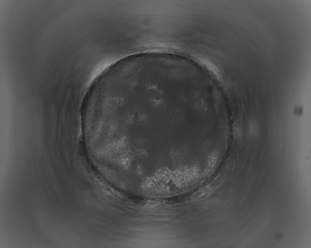 X0000091241267200708231709