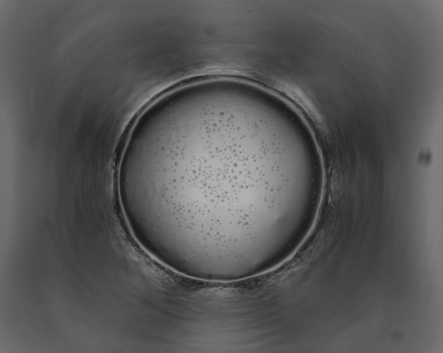 X0000091241268200708231709