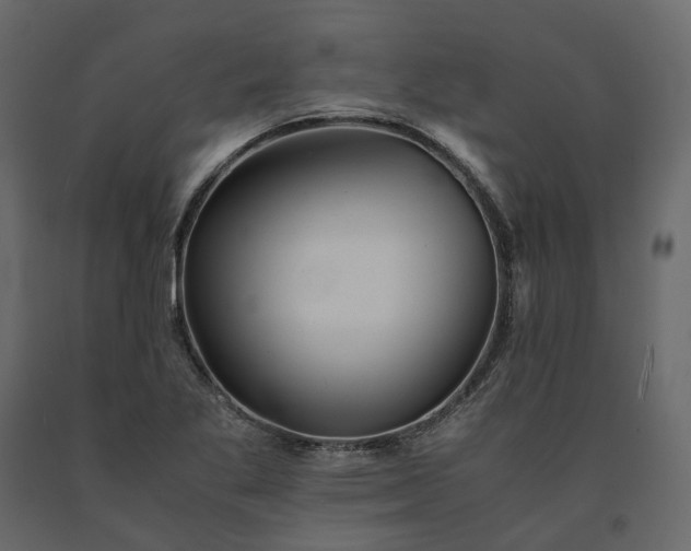 X0000091241269200708231709
