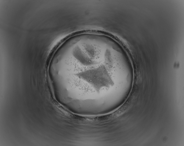 X0000091241271200708231709