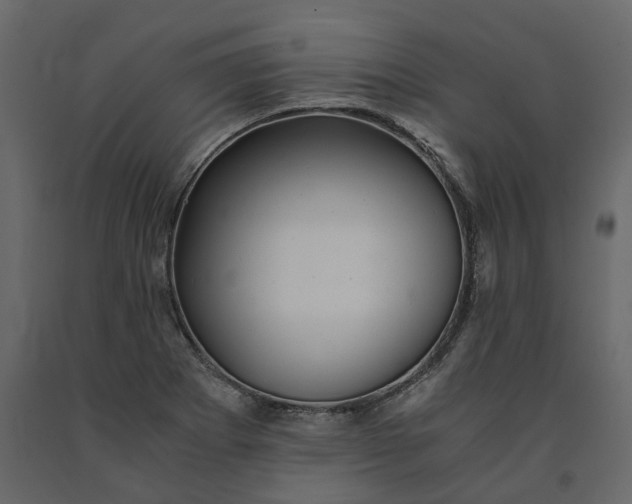 X0000091241273200708231709