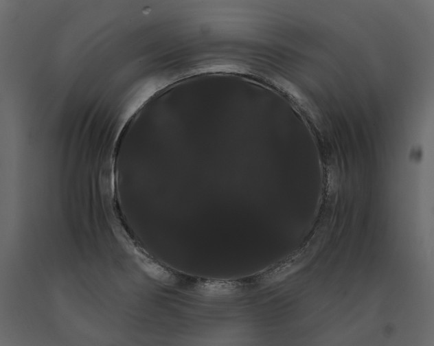 X0000091241274200708231709