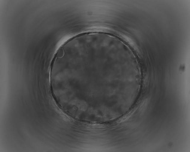 X0000091241275200708231709