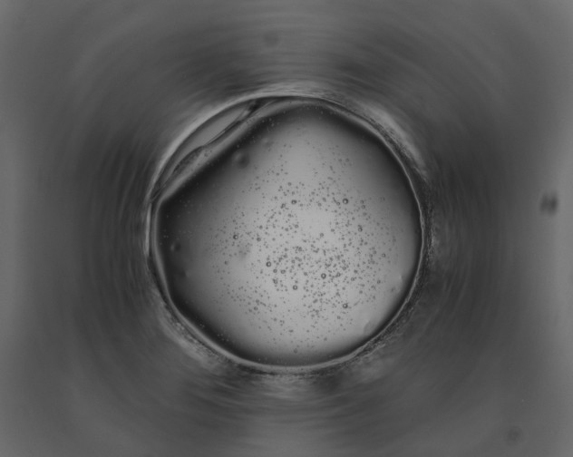 X0000091241276200708231709