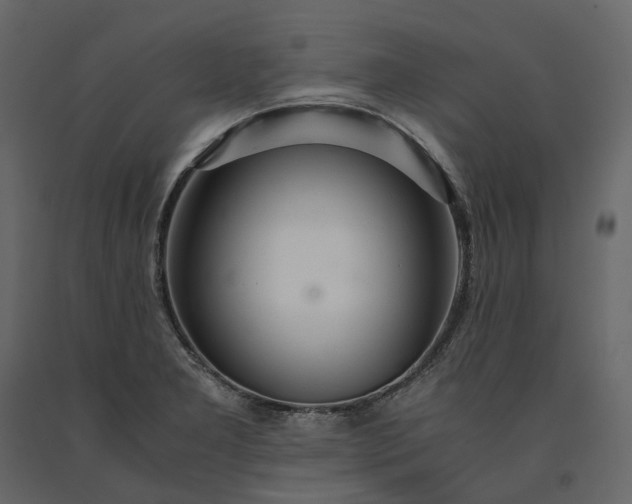 X0000091241277200708231709