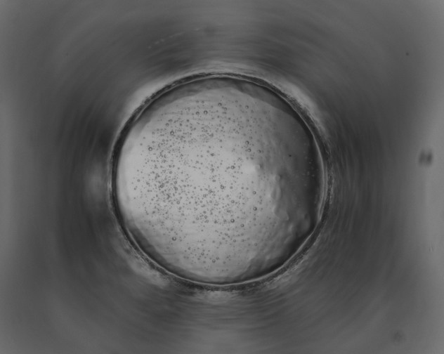X0000091241280200708231709