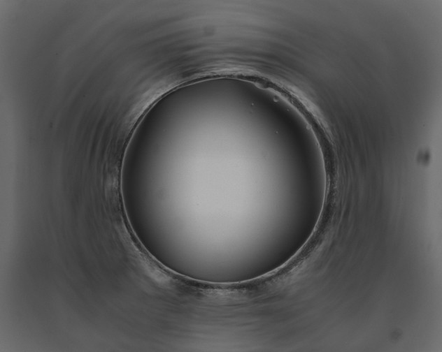 X0000091241281200708231709
