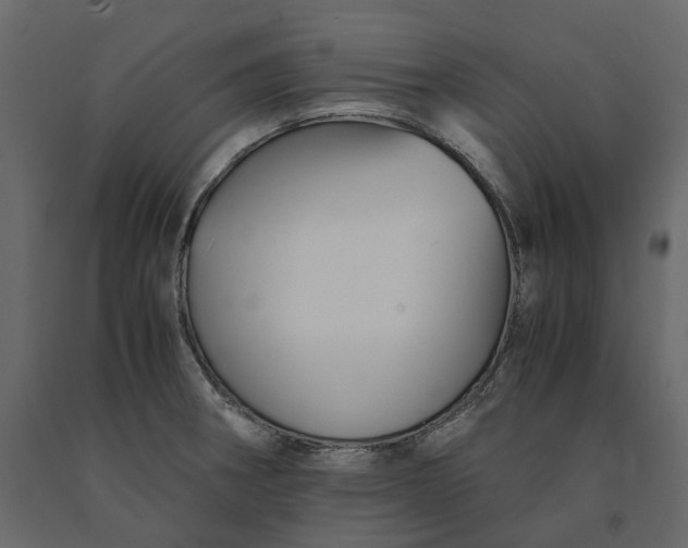 X0000091241282200708231709