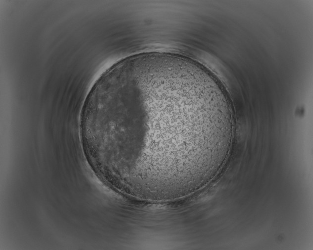X0000091241283200708231709