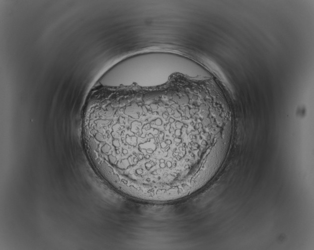 X0000091241284200708231709