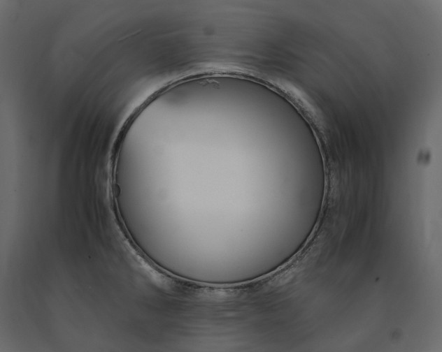 X0000091241286200708231709