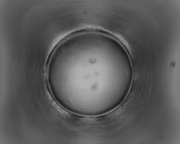X0000091241287200708231709