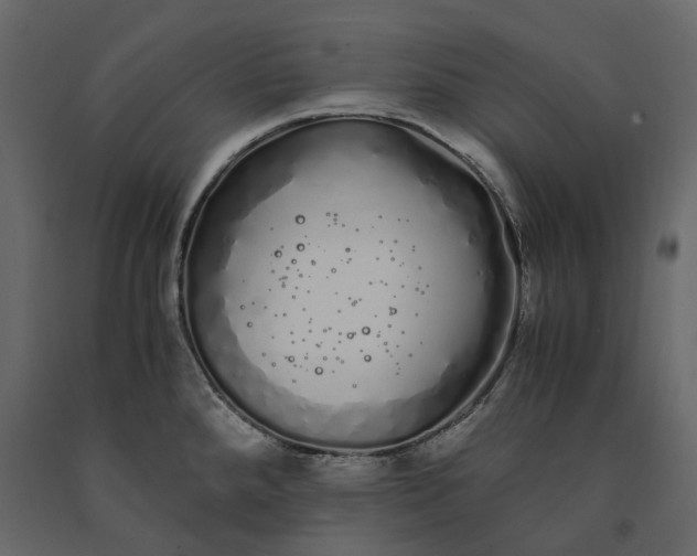 X0000091241288200708231708
