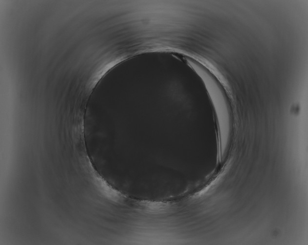 X0000091241289200708231708