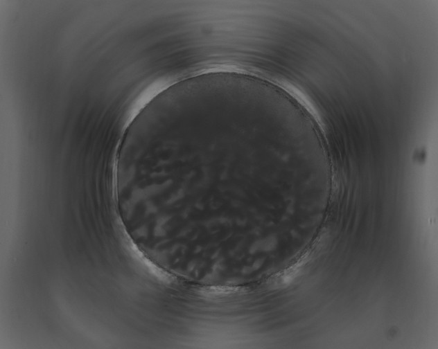 X0000091241290200708231708