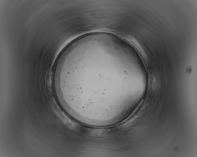 X0000091241292200708231708