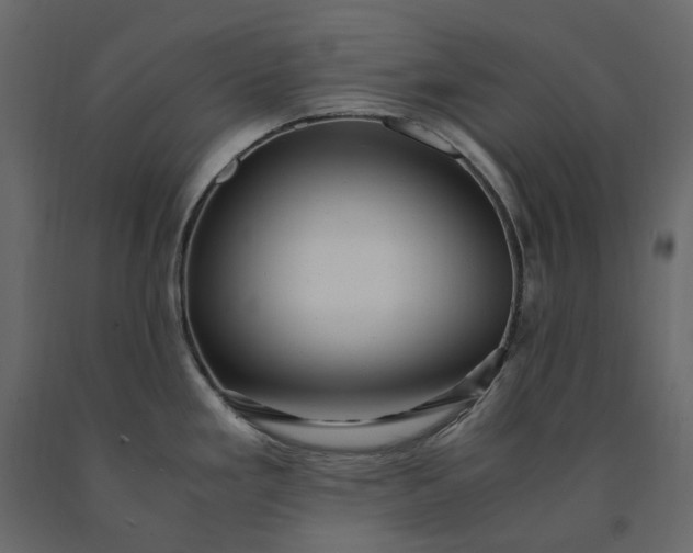 X0000091241293200708231708
