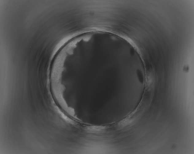 X0000091241294200708231708